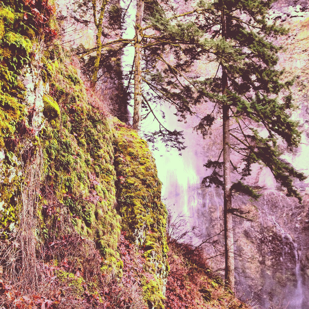 waterfalls in Oregon and Nike