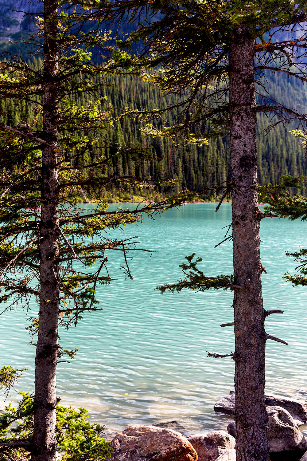 Exploring Lake Louise in Banff National Park / for the love of nike